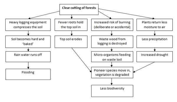 academic-ielts-writing-task-1-topic-consequence-of-deforestation