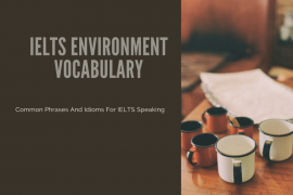 useful idioms and phrases for essays useful idioms and phrases for essays