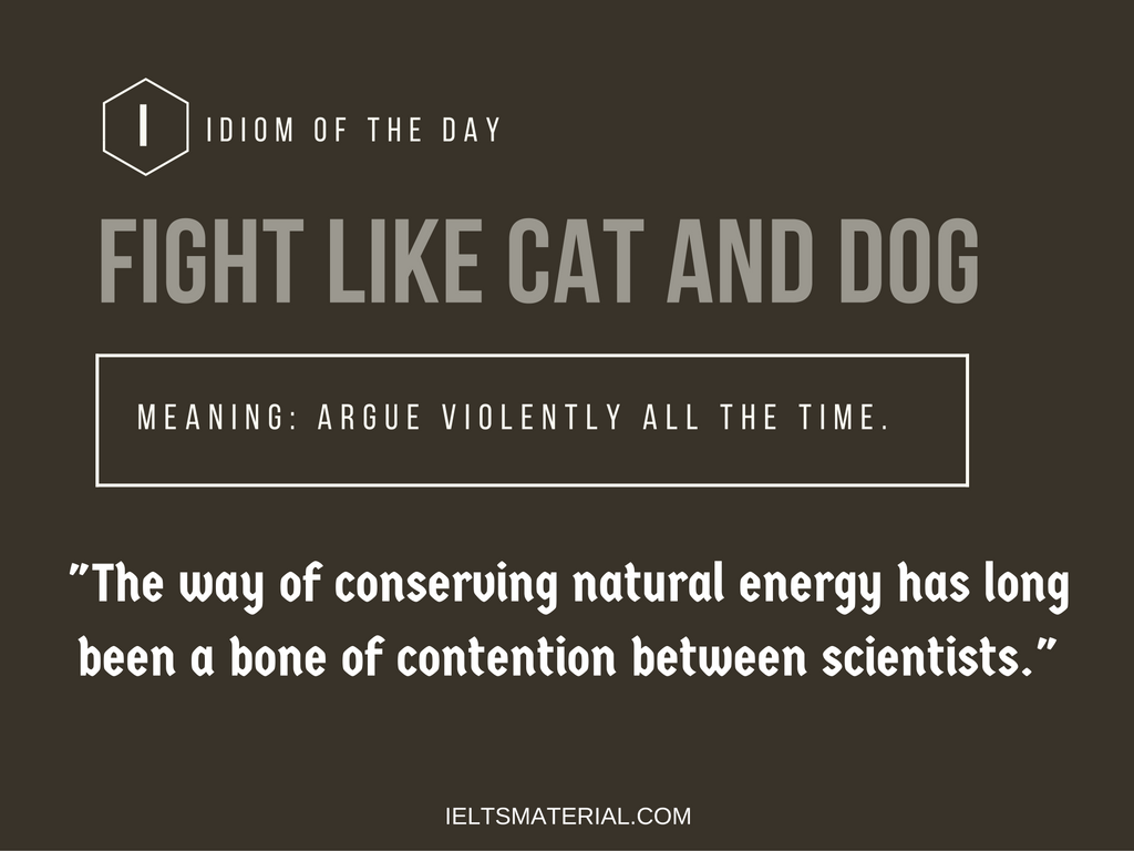 Fight Like Cat And Dog Idiom Of The Day For IELTS Speaking.