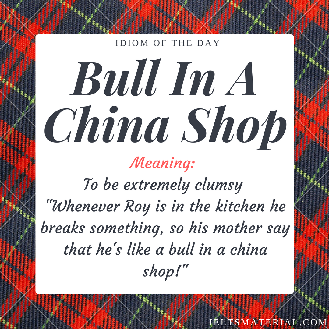 bull-in-a-china-shop-idiom-of-the-day-for-ielts-speaking