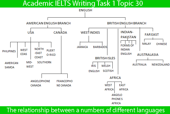 Bar Chart Ielts Vocabulary