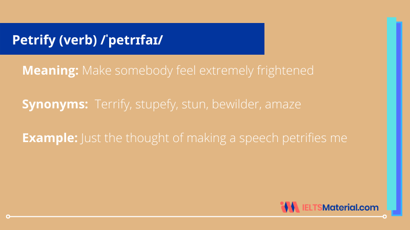 Word of the Day – Petrify