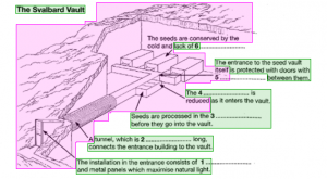 IELTS Reading 13
