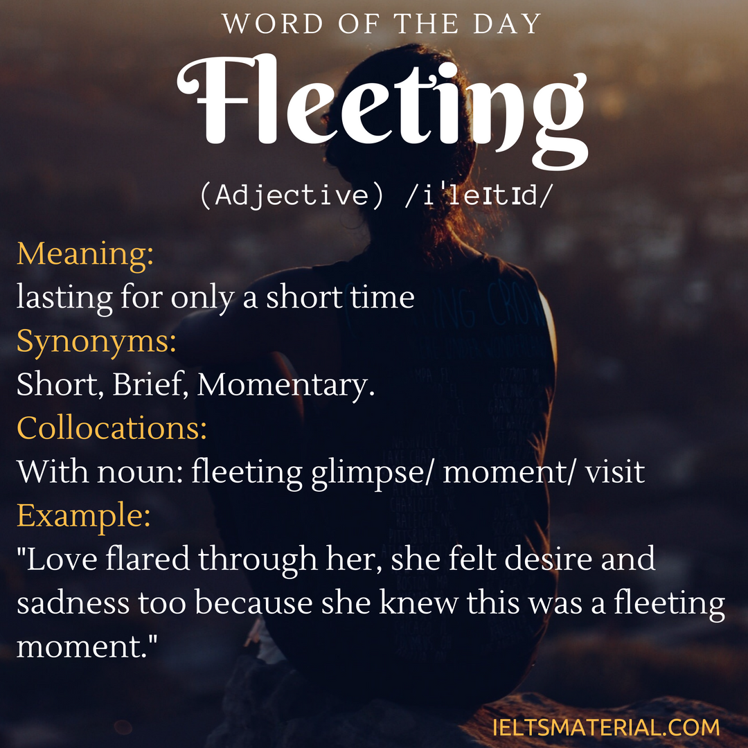 Fleeting Moment Meaning At Jimmie Mireles Blog