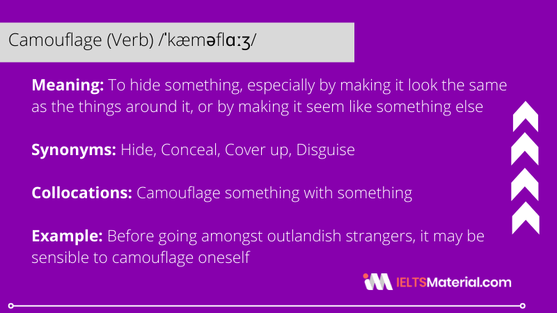 Camouflage – Word Of The Day For IELTS