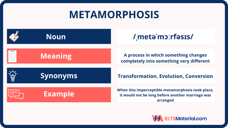 Metamorphosis – Word Of The Day For IELTS