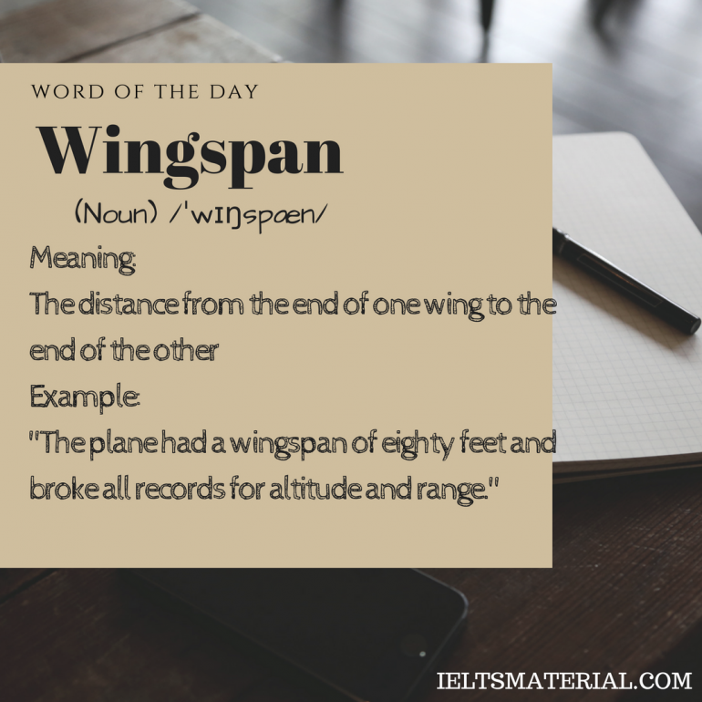 Wingspan Word Of The Day For IELTS Speaking And Writing