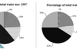 Sample Essay for Academic IELTS Writing Task 1 Topic 21 - Pie Chart