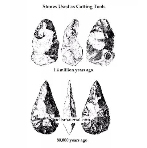 Stones Used as Cutting Tools