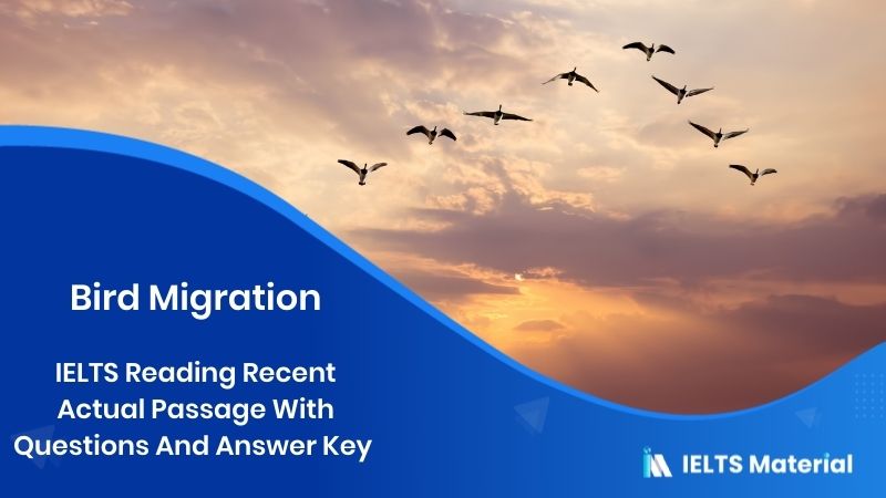 Ielts Reading Recent Actual Test 23 In 2018 With Answer Key Topic Bird Migration