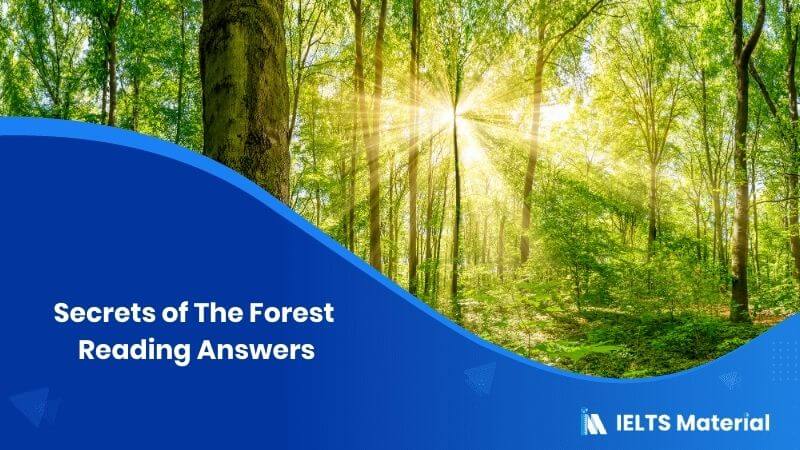 Secrets of The Forest Reading Answers