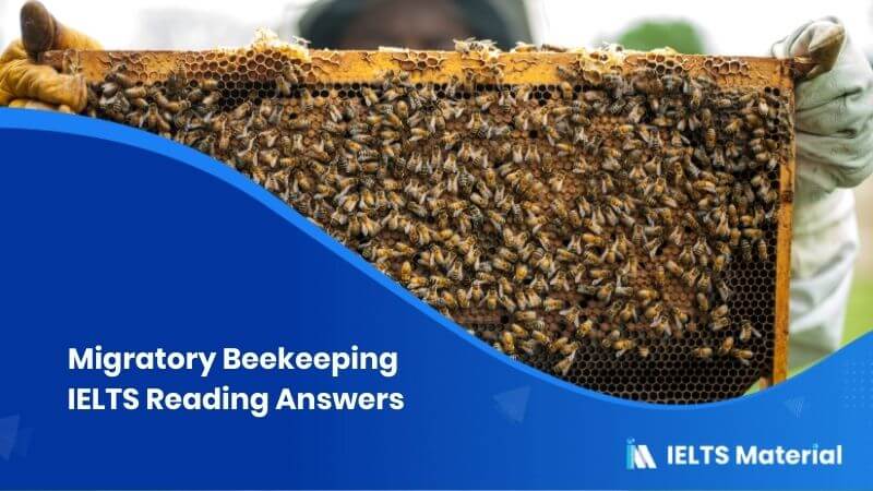 Migratory Beekeeping – IELTS Reading Answers
