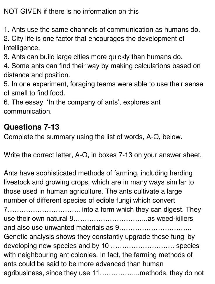 Ant Intelligence - 0005