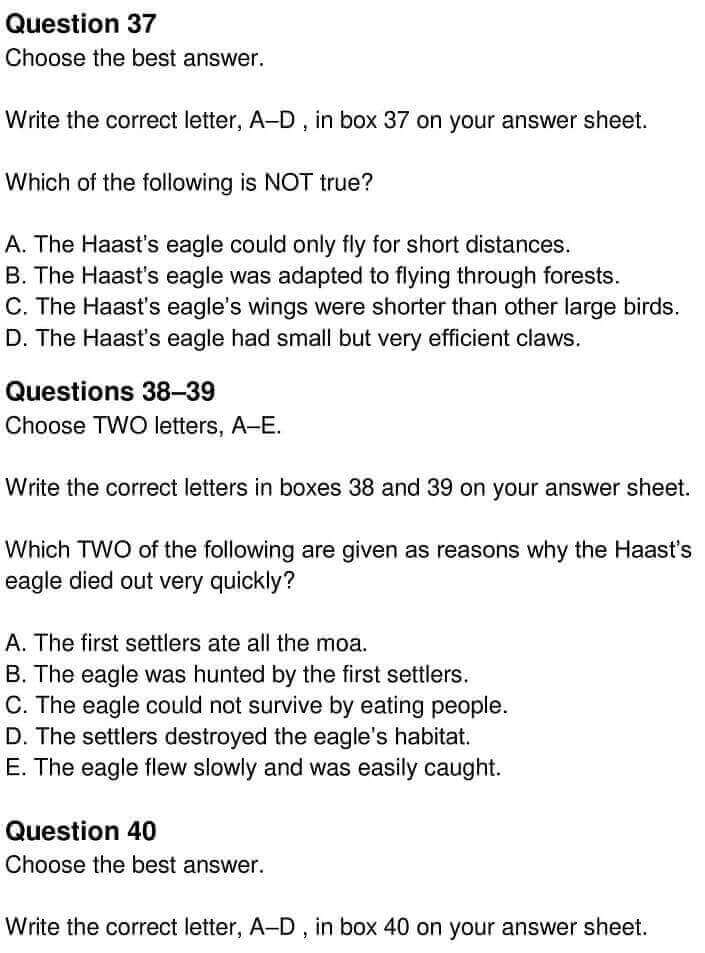 Haast’s Eagle IELTS Reading Answers