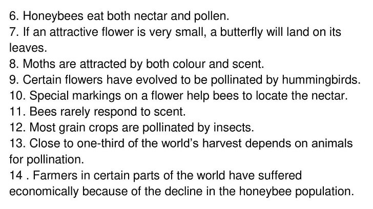 ‘Pollination’ Answers_0005