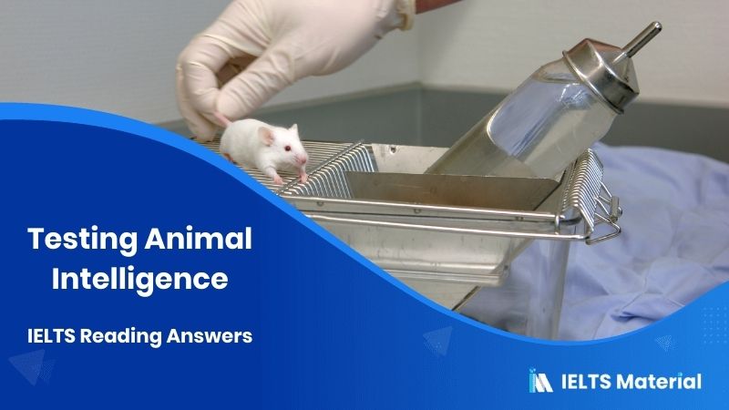 Testing Animal Intelligence IELTS Reading Answers