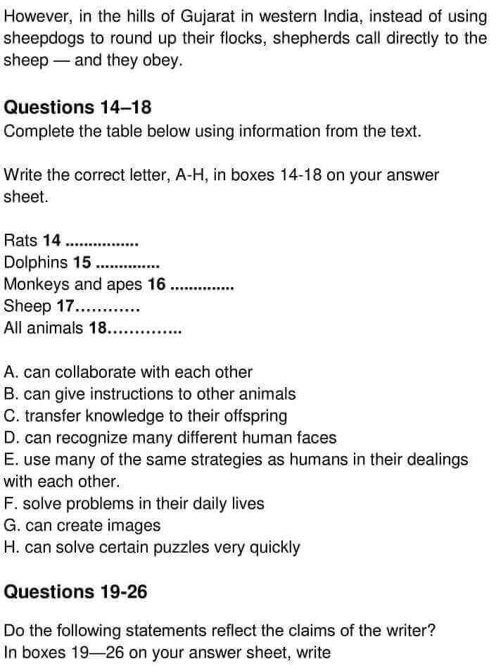 Testing Animal Intelligence - 0004