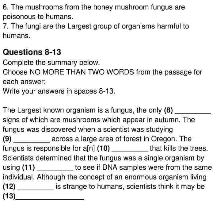 The Humungous Fungus - 0004