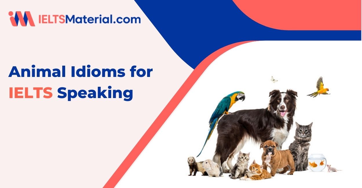 Animal Idioms for IELTS Speaking