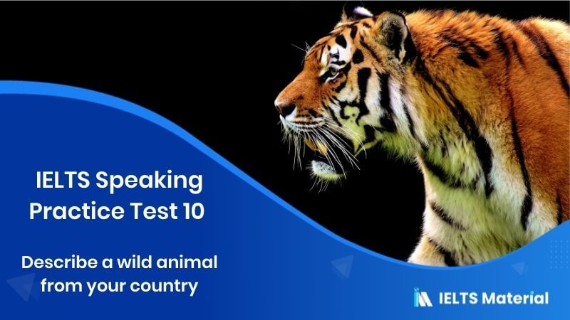 A wild Animal : IELTS Speaking Practice Test 10
