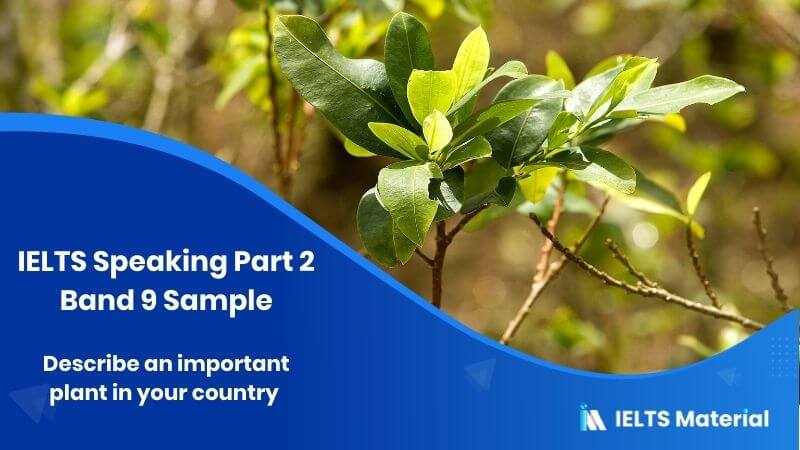 Describe an important plant in your country: IELTS Speaking Part 2 Sample Answer