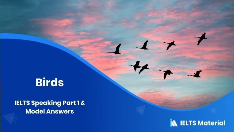 Birds: IELTS Speaking Part 1 Model Answer