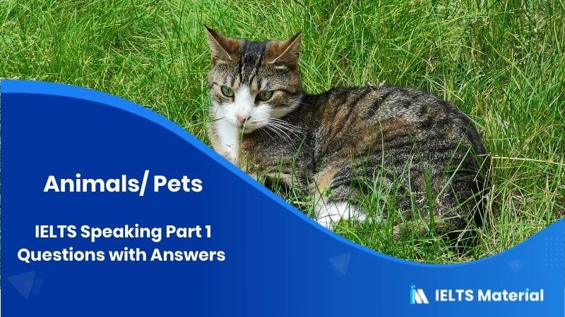 Animals/Pets: IELTS Speaking Part 1 Sample Answer