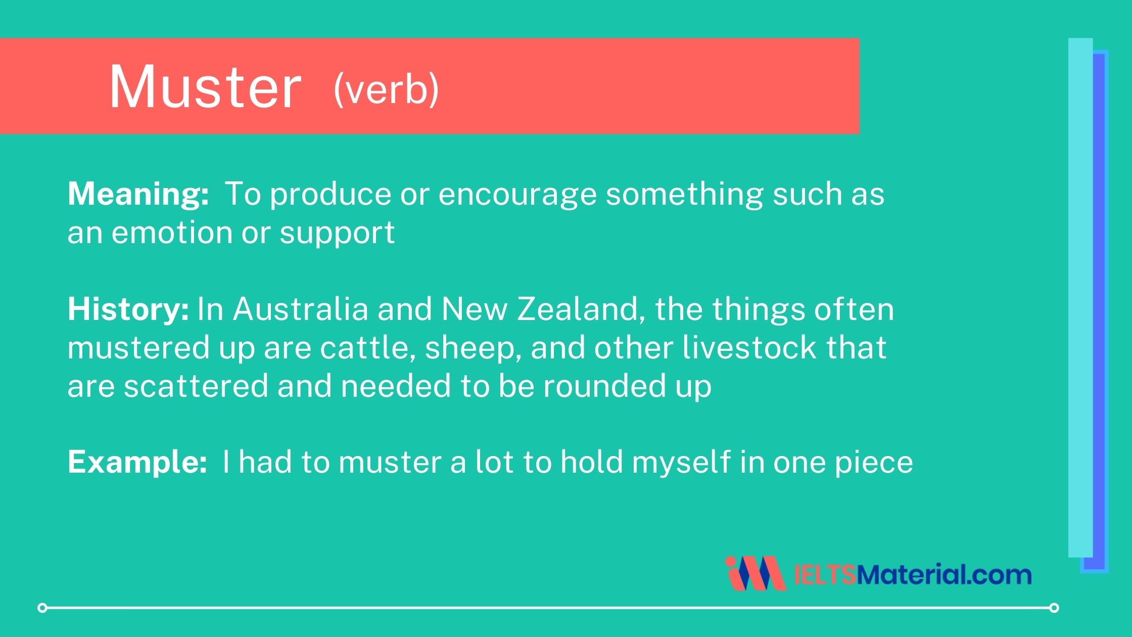 Word – Muster
