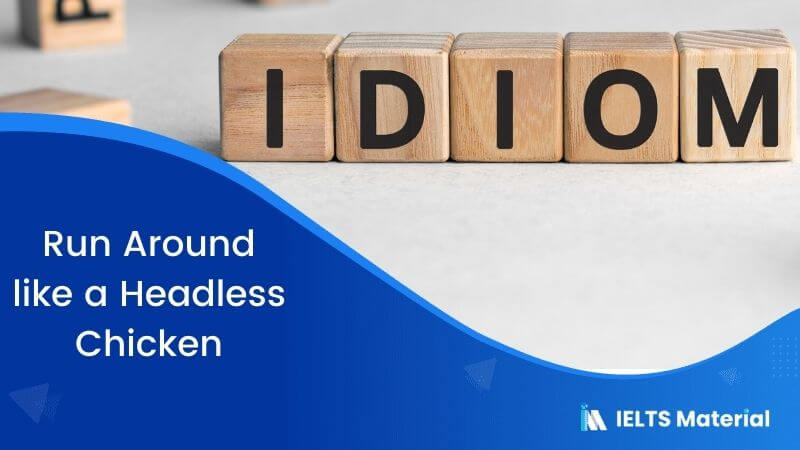 Idiom – Run Around like a Headless Chicken