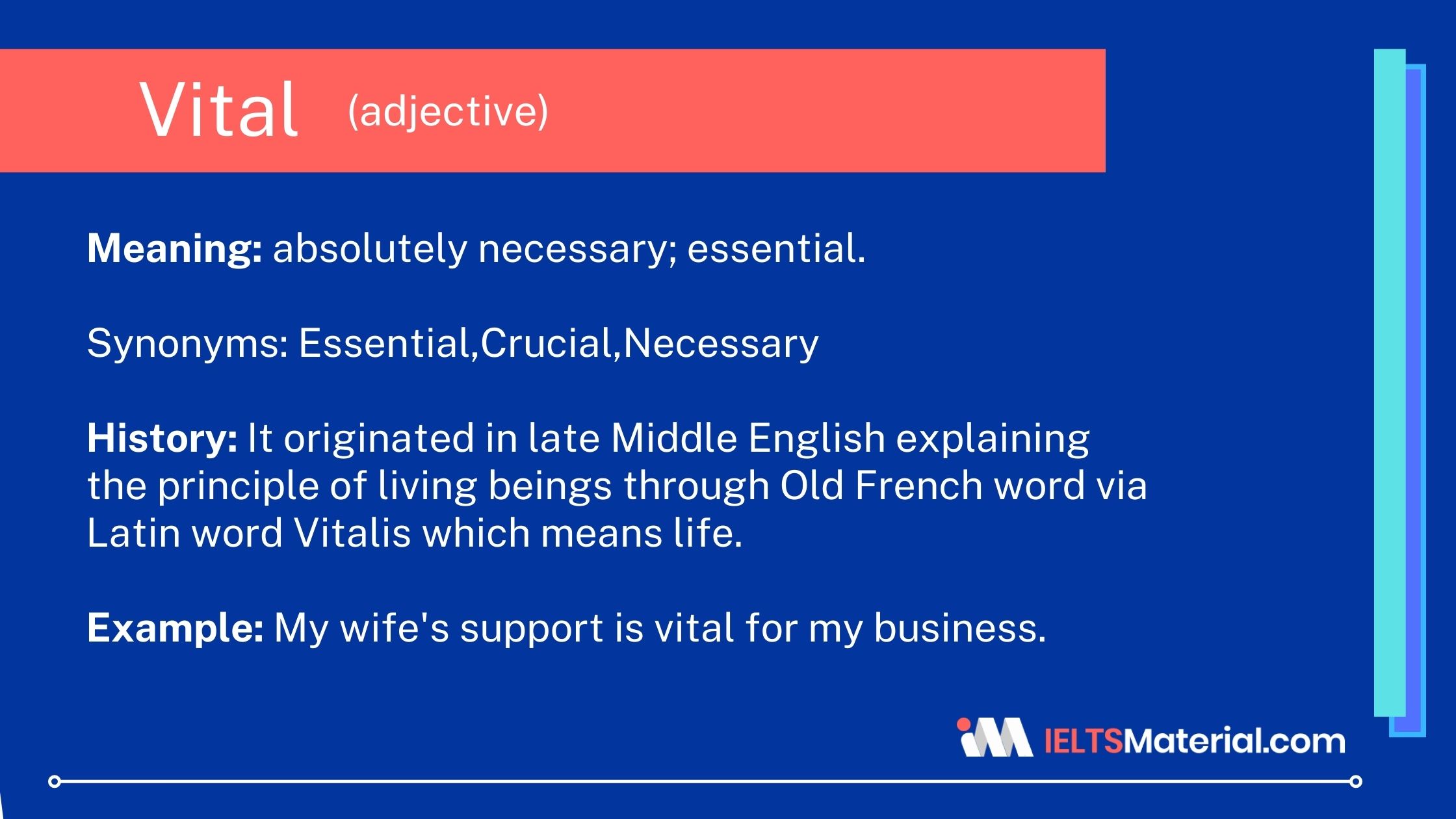 What Does Vital Mean In English