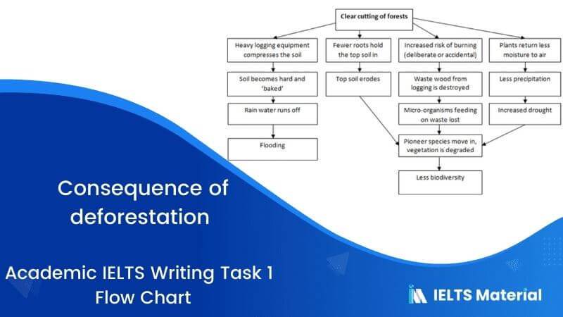 IELTS Academic Writing Task 1 Topic 09 : Consequence of deforestation – Flow Chart