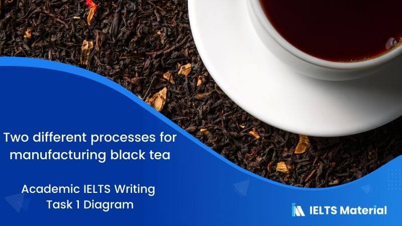 IELTS Academic Writing Task 1 Topic 29: Two different processes for manufacturing black tea – Diagram
