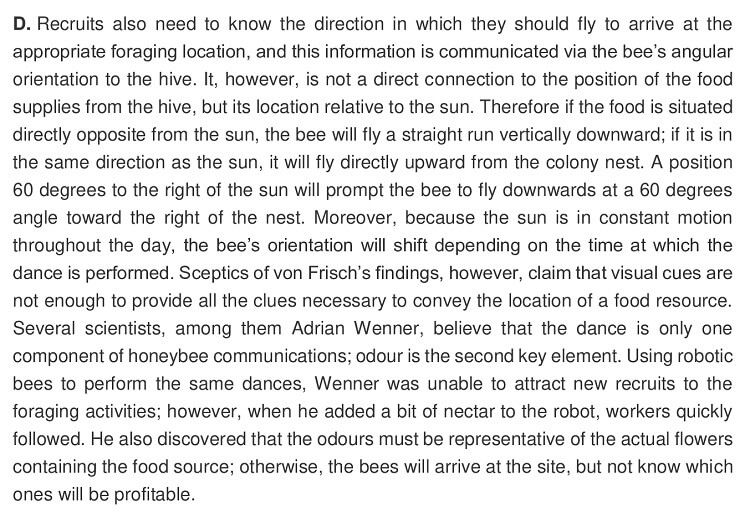 Flight Of The Honey_1