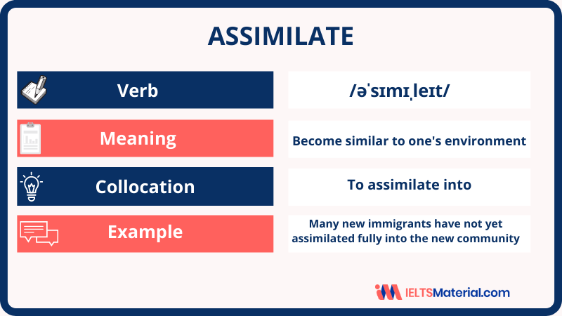 Assimilate – Word of the Day for IELTS Speaking & Writing