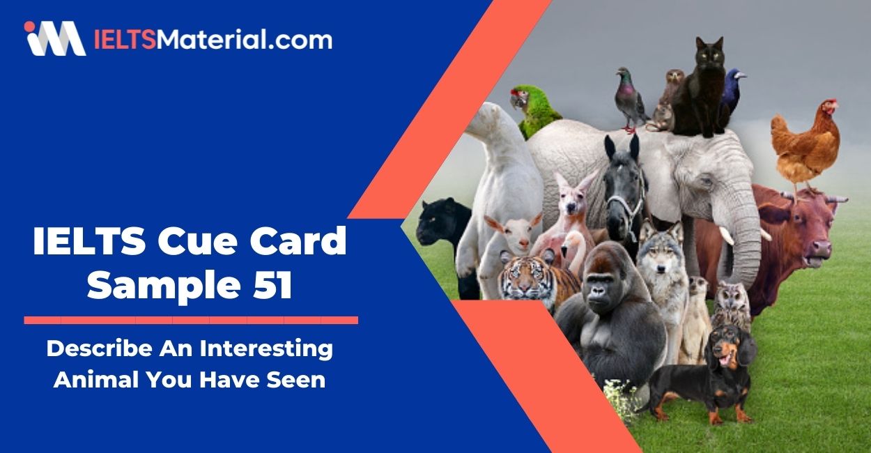 Describe An Interesting Animal You Have Seen - IELTS Cue Card Sample 51 Describe An Interesting Animal You Have Seen - IELTS Cue Card Sample 51