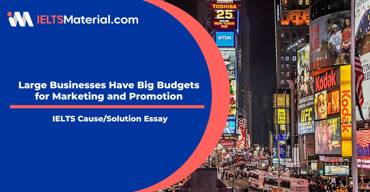 Large Businesses Have Big Budgets for Marketing and Promotion Sample Essays
