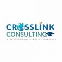 Crosslink Consulting