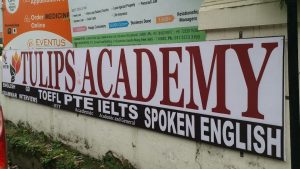 Tulip IELTS Academy