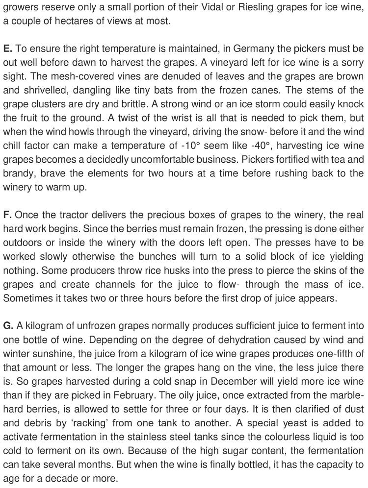 The Grapes of Winter_1