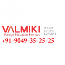 Valmiki Foreign Education Services