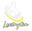 Lexington Institute 
