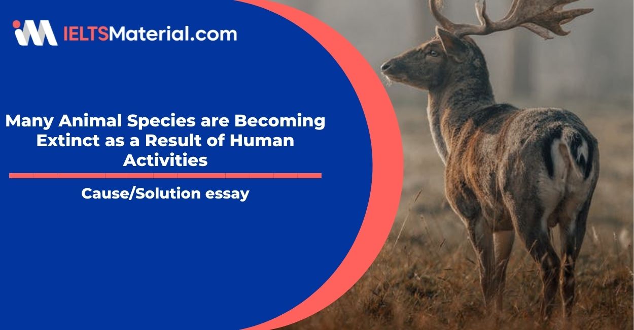 Many Animal Species are Becoming Extinct as a Result of Human Activities-  IELTS Writing Task 2 