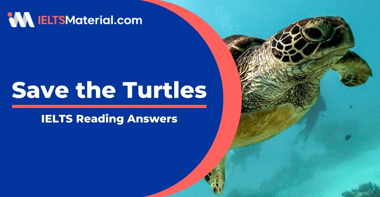 Save the Turtles- IELTS Reading Answers