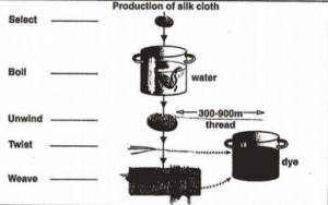 Silk Worm Process