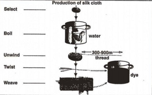 The Diagrams below Show the life cycle of the Silkworm and the Stages ...