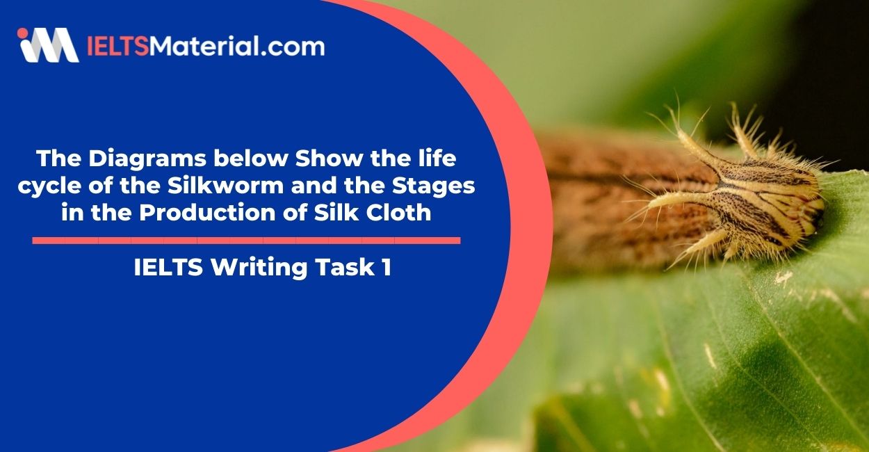Important Stages in the Life Cycle of a Silkworm | Life cycles, Silkworm  life cycle, Silkworm