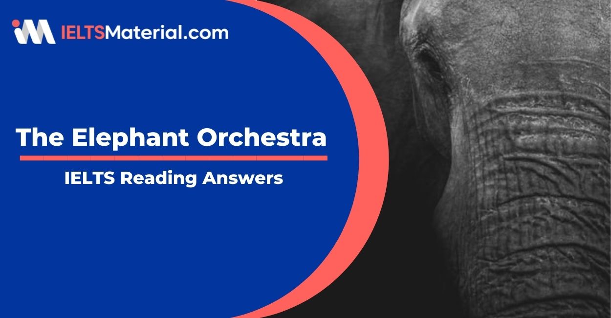 The Elephant Orchestra- IELTS Reading Answers