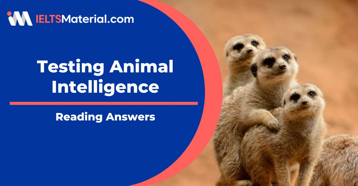 Testing Animal Intelligence Reading Answers
