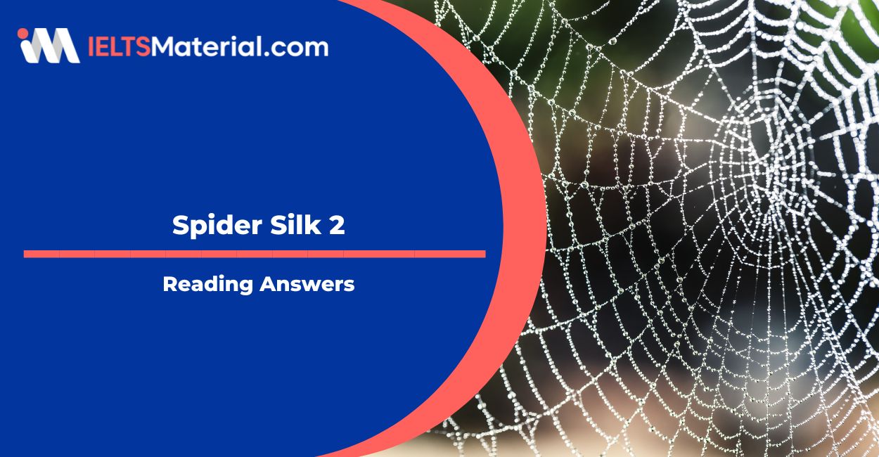 Spider Silk 2 Reading Answers