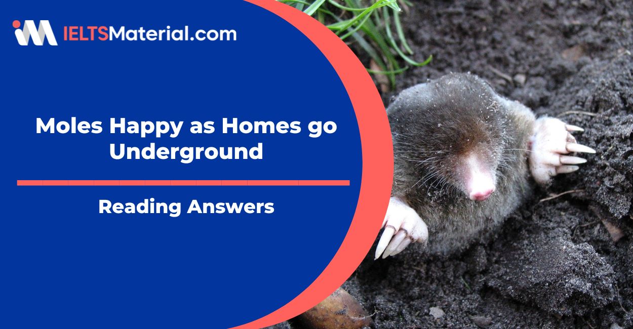 Moles Happy as Homes go Underground Reading Answers